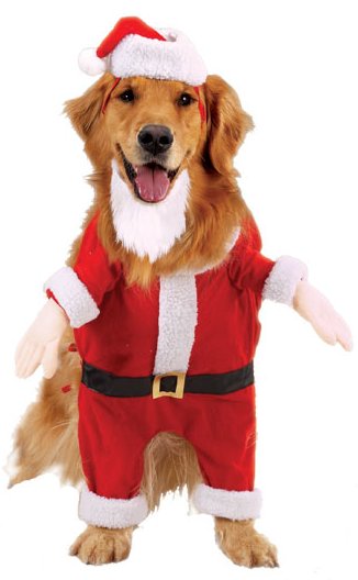 Casual Canine Kris Kringle Costumes